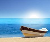 pic for Boat On Beach 